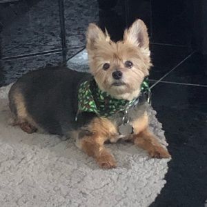 Meet your Posher, Wendy